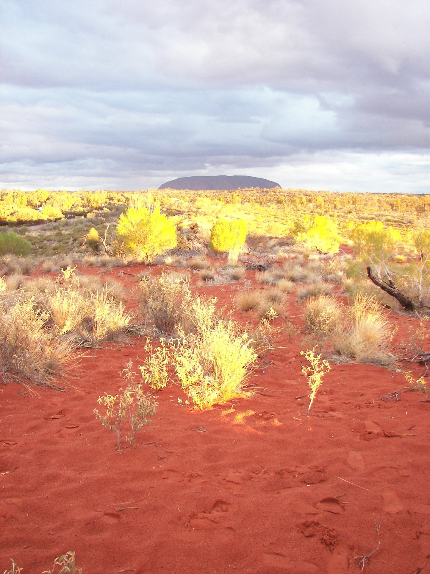 Sewing Up a Storm in the Desert